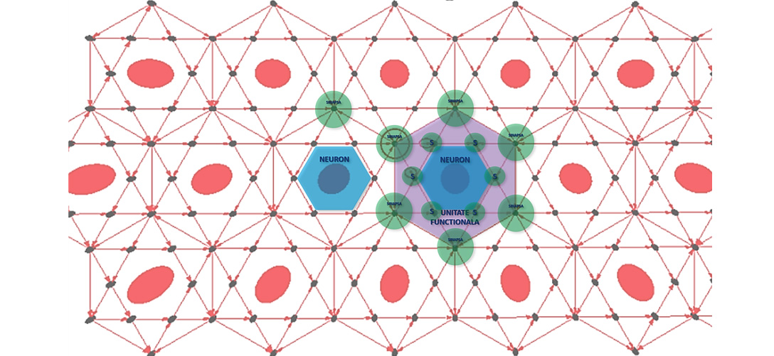 Evolutia fractalica 