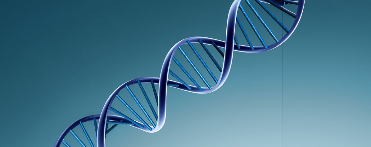 Informația genetică ecosistemică